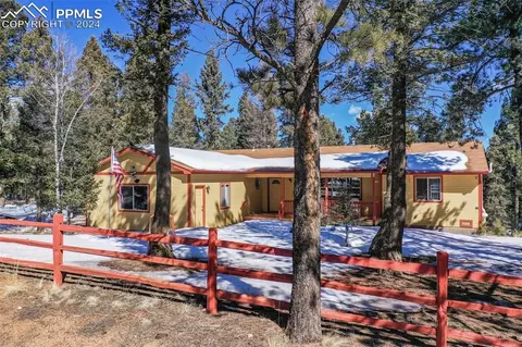 833 Spring Valley Dr, Divide, CO 80814 photo 1