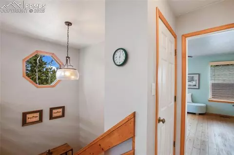 565 Ridge Rd, Divide, CO 80814 photo 13