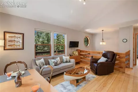 565 Ridge Rd, Divide, CO 80814 photo 5
