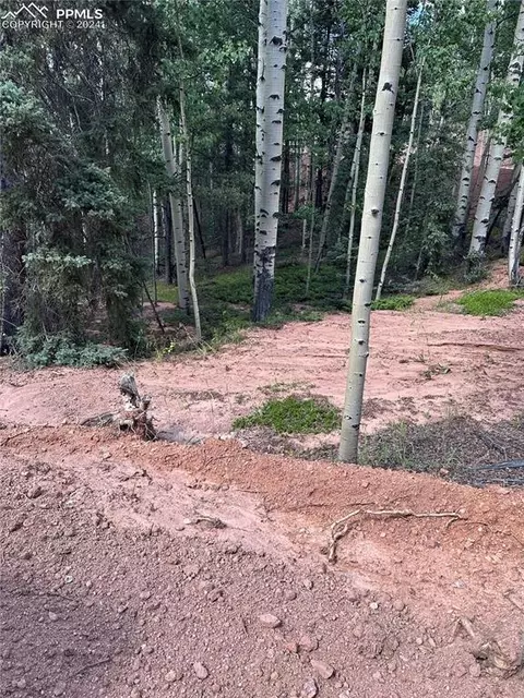 1301 Calcite Dr, Divide, CO 80814 photo 1
