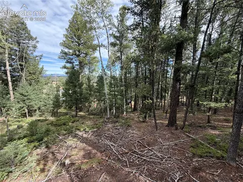 118 Will Stutley Dr, Divide, CO 80814 photo 5
