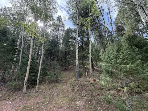 118 Will Stutley Dr, Divide, CO 80814 photo 3