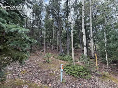 118 Will Stutley Dr, Divide, CO 80814 photo 2