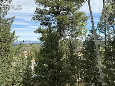118 Will Stutley Dr, Divide, CO 80814 photo 4