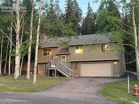 2873 Sunnywood Ave, Woodland Park, CO 80863