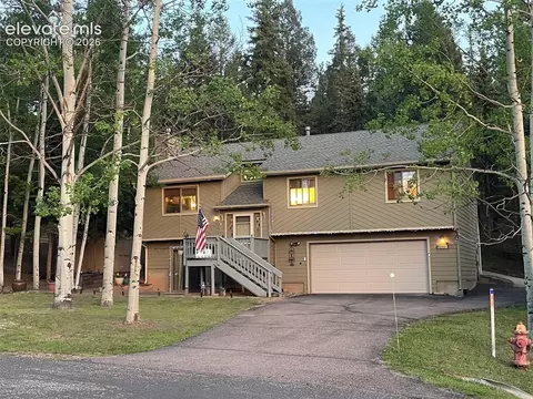2873 Sunnywood Ave, Woodland Park, CO 80863