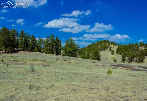 1457 County Road 12, Florissant, CO 80816