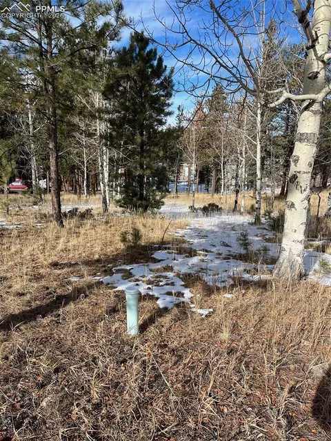 630 Pembrook Dr, Woodland Park, CO 80863