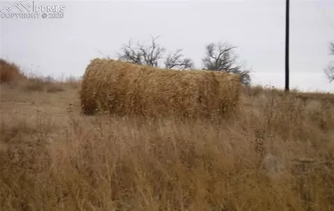 998 County Road 28 Na Na, Kit Carson, CO 80825 photo 6