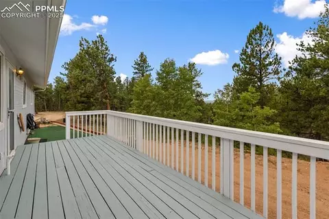 6749 County Road 51, Divide, CO 80814 photo 38