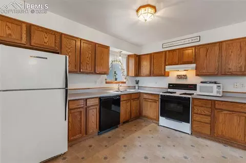 6749 County Road 51, Divide, CO 80814 photo 10
