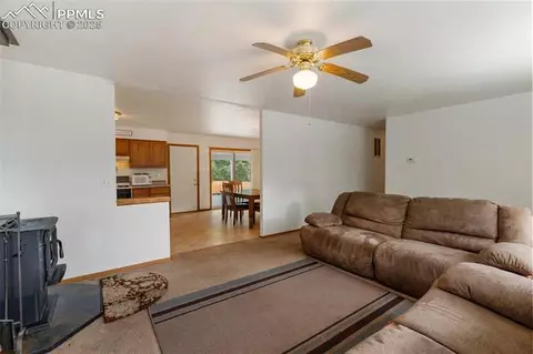 6749 County Road 51, Divide, CO 80814 photo 6
