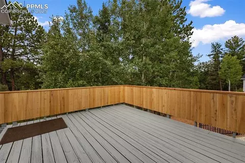 6749 County Road 51, Divide, CO 80814 photo 22