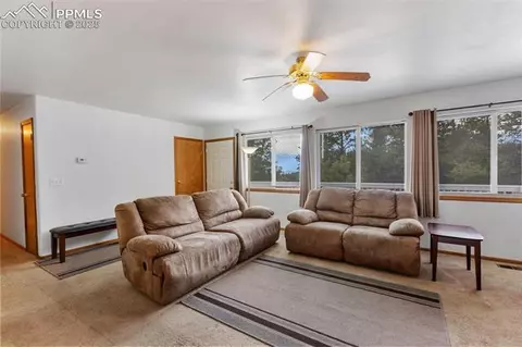 6749 County Road 51, Divide, CO 80814 photo 7