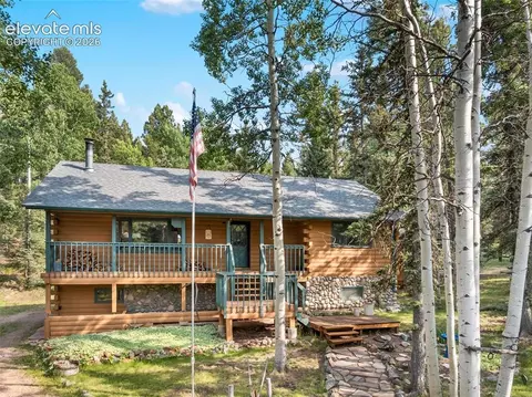 56 Blue Jay Ln, Divide, CO 80814