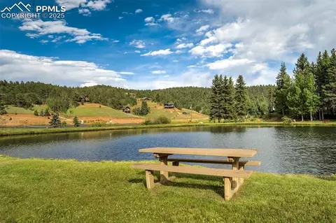 374 Aspen Cir, Divide, CO 80814 photo 49