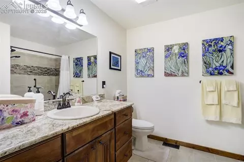 374 Aspen Cir, Divide, CO 80814 photo 16