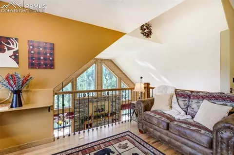 374 Aspen Cir, Divide, CO 80814 photo 19