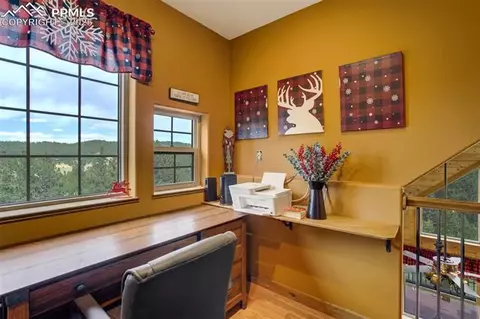 374 Aspen Cir, Divide, CO 80814 photo 20