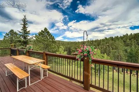 374 Aspen Cir, Divide, CO 80814 photo 33