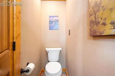 374 Aspen Cir, Divide, CO 80814 photo 30