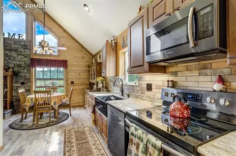 374 Aspen Cir, Divide, CO 80814 photo 13