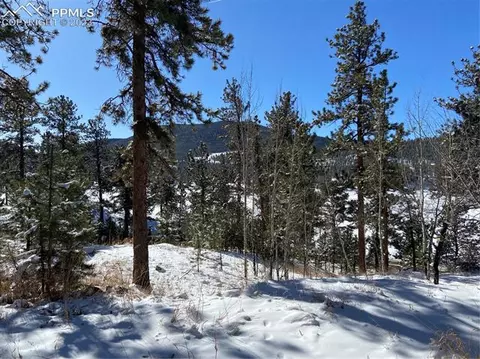 41 Shelton Dr, Bailey, CO 80421 photo 11