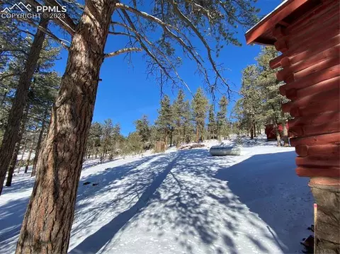 41 Shelton Dr, Bailey, CO 80421 photo 22