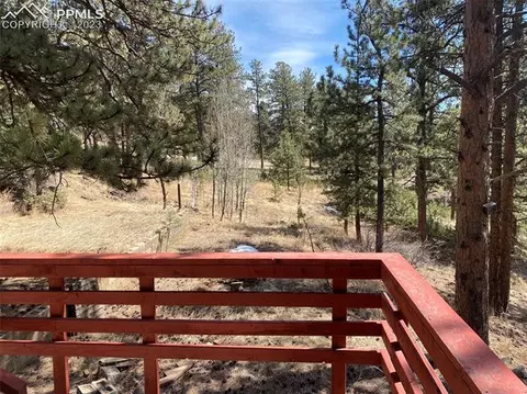 41 Shelton Dr, Bailey, CO 80421 photo 6