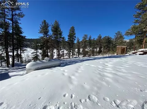 41 Shelton Dr, Bailey, CO 80421 photo 19