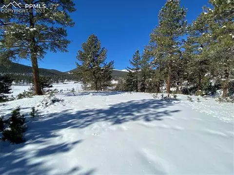 41 Shelton Dr, Bailey, CO 80421 photo 38