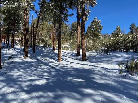 41 Shelton Dr, Bailey, CO 80421 photo 10