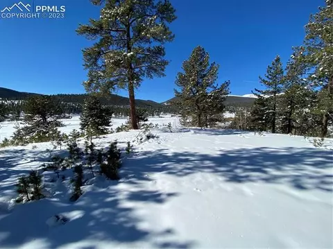41 Shelton Dr, Bailey, CO 80421 photo 39