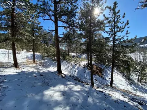 41 Shelton Dr, Bailey, CO 80421 photo 35