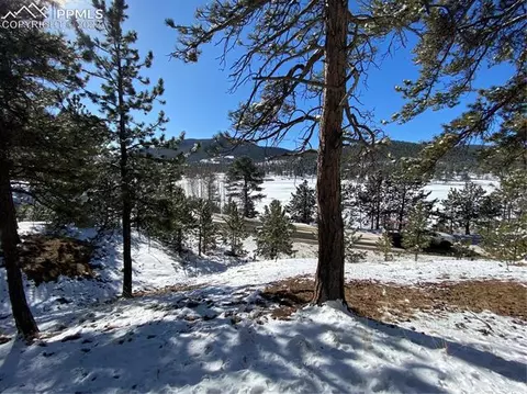 41 Shelton Dr, Bailey, CO 80421 photo 34