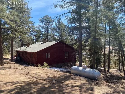 41 Shelton Dr, Bailey, CO 80421 photo 3