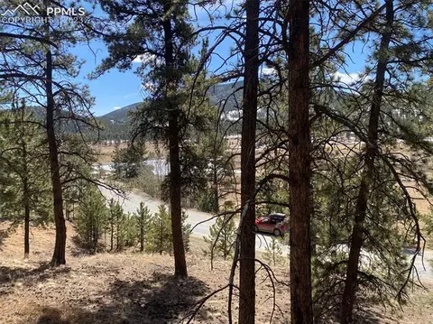41 Shelton Dr, Bailey, CO 80421 photo 7