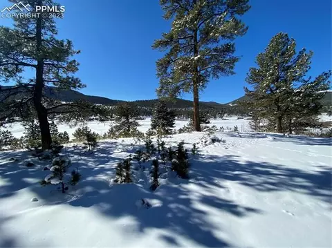 41 Shelton Dr, Bailey, CO 80421 photo 40