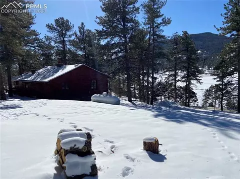 41 Shelton Dr, Bailey, CO 80421 photo 17