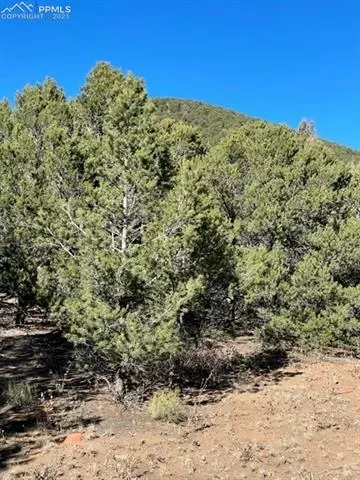 837 Mears Rd, Cotopaxi, CO 81223 photo 17