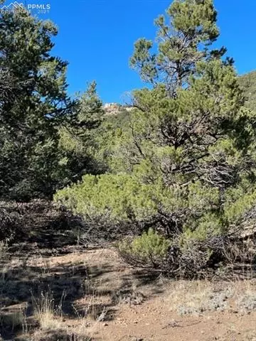 837 Mears Rd, Cotopaxi, CO 81223 photo 9