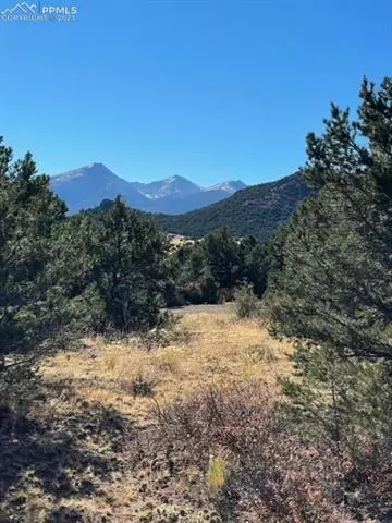 837 Mears Rd, Cotopaxi, CO 81223 photo 8
