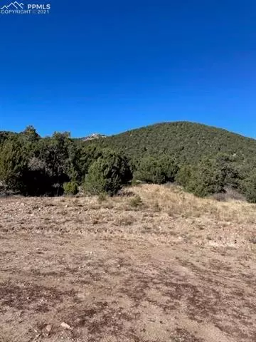 837 Mears Rd, Cotopaxi, CO 81223 photo 3