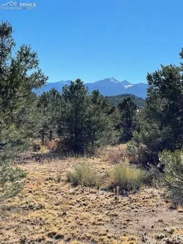 837 Mears Rd, Cotopaxi, CO 81223 photo 18