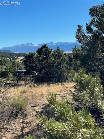 837 Mears Rd, Cotopaxi, CO 81223 photo 15