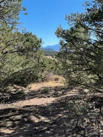 837 Mears Rd, Cotopaxi, CO 81223 photo 16