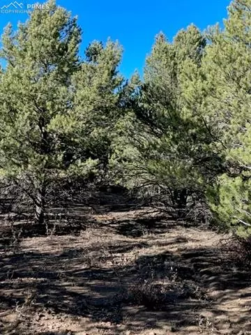 837 Mears Rd, Cotopaxi, CO 81223 photo 4