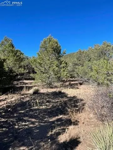 837 Mears Rd, Cotopaxi, CO 81223 photo 13