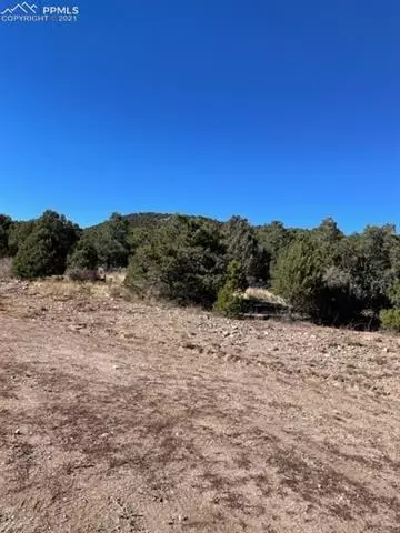 837 Mears Rd, Cotopaxi, CO 81223 photo 5