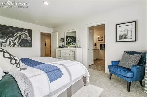 Bedroom - 2243 Still Meadows Ct, Monument, CO 80132 photo 2 of 6
